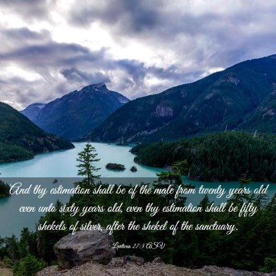 Picture 03 - Leviticus 27:3 ASV - And thy estimation shall be of the male from - Bible Verse Picture