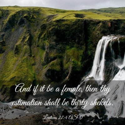 Picture 03 - Leviticus 27:4 ASV - And if it be a female, then thy estimation shall - Bible Verse Picture