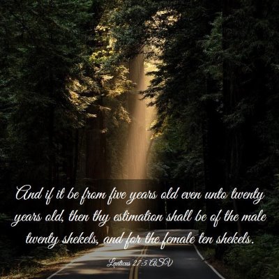 Picture 03 - Leviticus 27:5 ASV - And if it be from five years old even unto twenty - Bible Verse Picture
