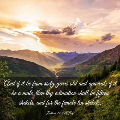 Picture 03 - Leviticus 27:7 ASV - And if it be from sixty years old and upward; if - Bible Verse Picture
