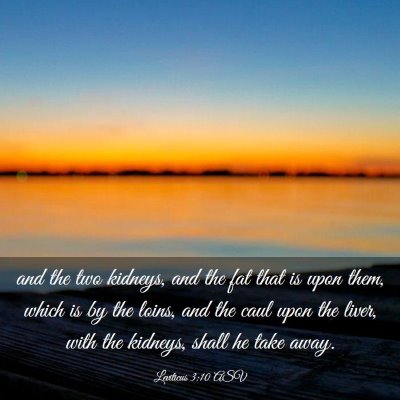 Picture 03 - Leviticus 3:10 ASV - and the two kidneys, and the fat that is upon - Bible Verse Picture