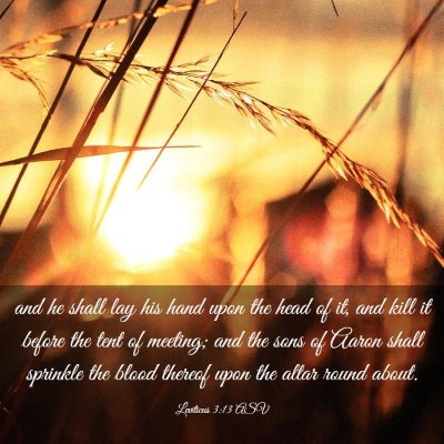 Picture 03 - Leviticus 3:13 ASV - and he shall lay his hand upon the head of it, - Bible Verse Picture
