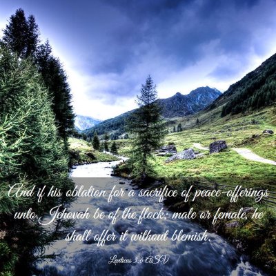 Picture 03 - Leviticus 3:6 ASV - And if his oblation for a sacrifice of - Bible Verse Picture