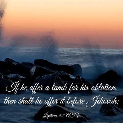 Picture 03 - Leviticus 3:7 ASV - If he offer a lamb for his oblation, then shall - Bible Verse Picture
