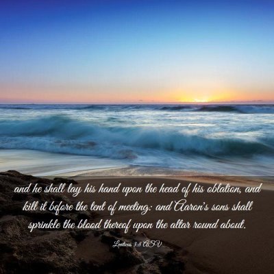 Picture 03 - Leviticus 3:8 ASV - and he shall lay his hand upon the head of his - Bible Verse Picture