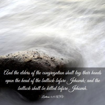 Picture 03 - Leviticus 4:15 ASV - And the elders of the congregation shall lay - Bible Verse Picture