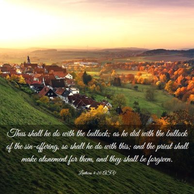 Picture 03 - Leviticus 4:20 ASV - Thus shall he do with the bullock; as he did with - Bible Verse Picture