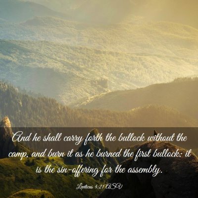 Picture 03 - Leviticus 4:21 ASV - And he shall carry forth the bullock without the - Bible Verse Picture