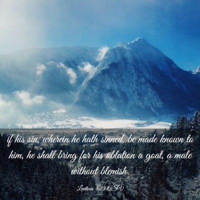 Picture 03 - Leviticus 4:23 ASV - if his sin, wherein he hath sinned, be made known - Bible Verse Picture