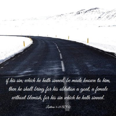 Picture 03 - Leviticus 4:28 ASV - if his sin, which he hath sinned, be made known - Bible Verse Picture