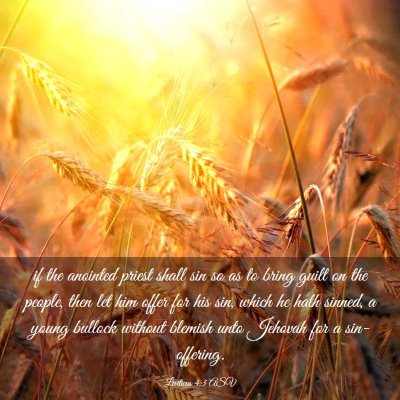 Picture 03 - Leviticus 4:3 ASV - if the anointed priest shall sin so as to bring - Bible Verse Picture
