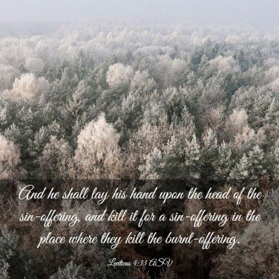 Picture 03 - Leviticus 4:33 ASV - And he shall lay his hand upon the head of the - Bible Verse Picture