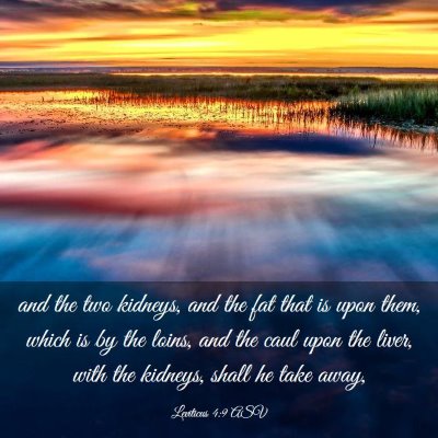 Picture 03 - Leviticus 4:9 ASV - and the two kidneys, and the fat that is upon - Bible Verse Picture