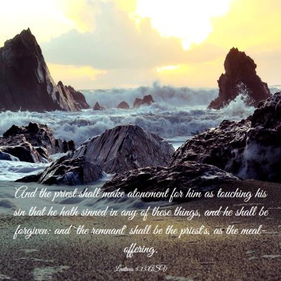 Picture 03 - Leviticus 5:13 ASV - And the priest shall make atonement for him as - Bible Verse Picture