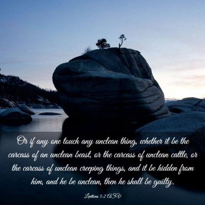 Picture 03 - Leviticus 5:2 ASV - Or if any one touch any unclean thing, whether it - Bible Verse Picture