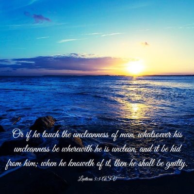 Picture 03 - Leviticus 5:3 ASV - Or if he touch the uncleanness of man, whatsoever - Bible Verse Picture