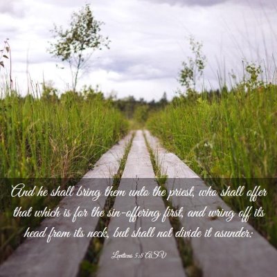 Picture 03 - Leviticus 5:8 ASV - And he shall bring them unto the priest, who - Bible Verse Picture