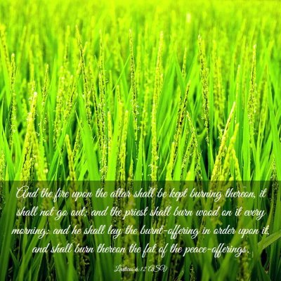 Picture 03 - Leviticus 6:12 ASV - And the fire upon the altar shall be kept burning - Bible Verse Picture