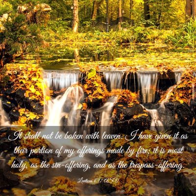 Picture 03 - Leviticus 6:17 ASV - It shall not be baken with leaven. I have given - Bible Verse Picture
