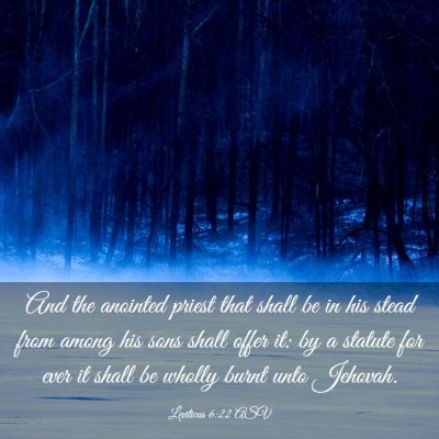 Picture 03 - Leviticus 6:22 ASV - And the anointed priest that shall be in his - Bible Verse Picture