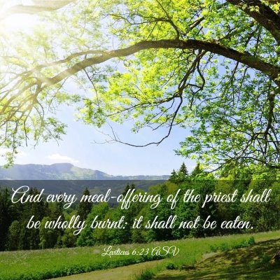 Picture 03 - Leviticus 6:23 ASV - And every meal-offering of the priest shall be - Bible Verse Picture