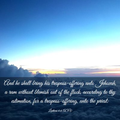 Picture 03 - Leviticus 6:6 ASV - And he shall bring his trespass-offering unto - Bible Verse Picture