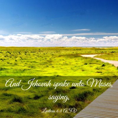 Picture 03 - Leviticus 6:8 ASV - And Jehovah spake unto Moses, - Bible Verse Picture