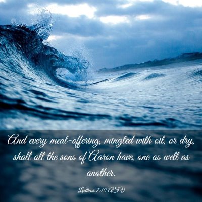Picture 03 - Leviticus 7:10 ASV - And every meal-offering, mingled with oil, or - Bible Verse Picture