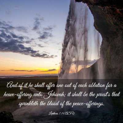 Picture 03 - Leviticus 7:14 ASV - And of it he shall offer one out of each oblation - Bible Verse Picture
