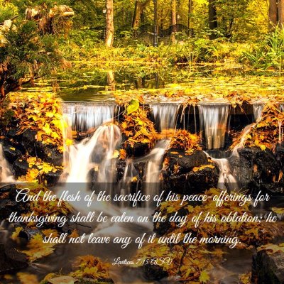 Picture 03 - Leviticus 7:15 ASV - And the flesh of the sacrifice of his - Bible Verse Picture