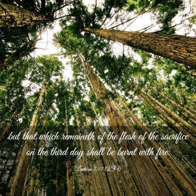 Picture 03 - Leviticus 7:17 ASV - but that which remaineth of the flesh of the - Bible Verse Picture