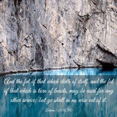 Picture 03 - Leviticus 7:24 ASV - And the fat of that which dieth of itself, and - Bible Verse Picture