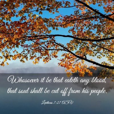 Picture 03 - Leviticus 7:27 ASV - Whosoever it be that eateth any blood, that soul - Bible Verse Picture