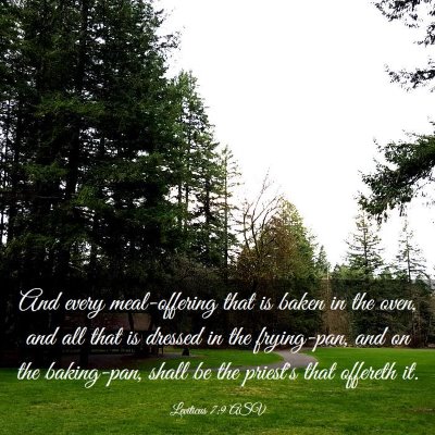 Picture 03 - Leviticus 7:9 ASV - And every meal-offering that is baken in the - Bible Verse Picture