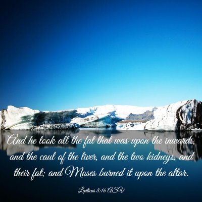 Picture 03 - Leviticus 8:16 ASV - And he took all the fat that was upon the - Bible Verse Picture