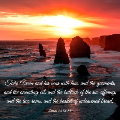 Picture 03 - Leviticus 8:2 ASV - Take Aaron and his sons with him, and the - Bible Verse Picture