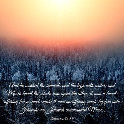 Picture 03 - Leviticus 8:21 ASV - And he washed the inwards and the legs with - Bible Verse Picture