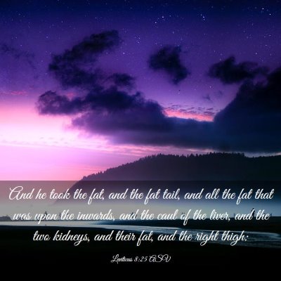 Picture 03 - Leviticus 8:25 ASV - And he took the fat, and the fat tail, and all - Bible Verse Picture