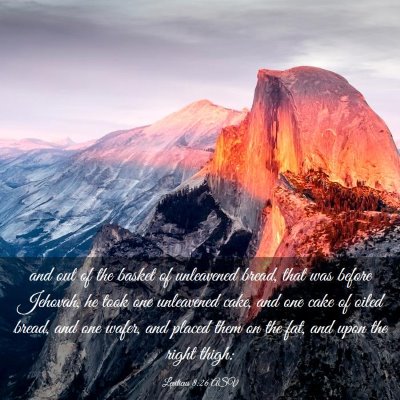 Picture 03 - Leviticus 8:26 ASV - and out of the basket of unleavened bread, that - Bible Verse Picture