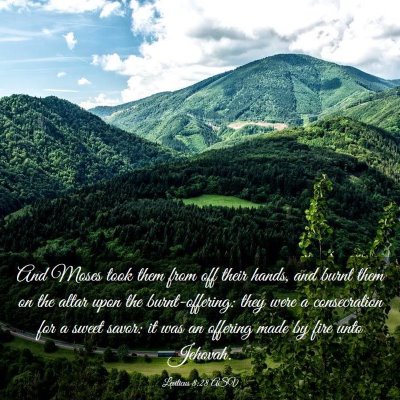 Picture 03 - Leviticus 8:28 ASV - And Moses took them from off their hands, and - Bible Verse Picture