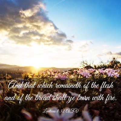 Picture 03 - Leviticus 8:32 ASV - And that which remaineth of the flesh and of the - Bible Verse Picture
