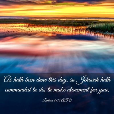 Picture 03 - Leviticus 8:34 ASV - As hath been done this day, so Jehovah hath - Bible Verse Picture
