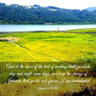 Picture 03 - Leviticus 8:35 ASV - And at the door of the tent of meeting shall ye - Bible Verse Picture