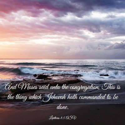 Picture 03 - Leviticus 8:5 ASV - And Moses said unto the congregation, This is the - Bible Verse Picture