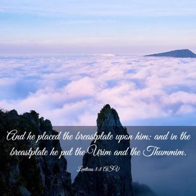 Picture 03 - Leviticus 8:8 ASV - And he placed the breastplate upon him: and in - Bible Verse Picture