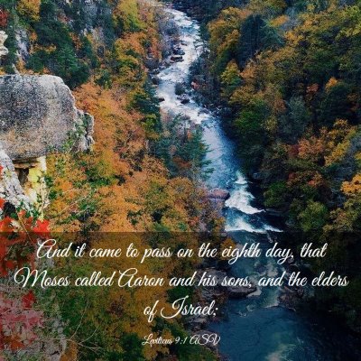 Picture 03 - Leviticus 9:1 ASV - And it came to pass on the eighth day, that Moses - Bible Verse Picture