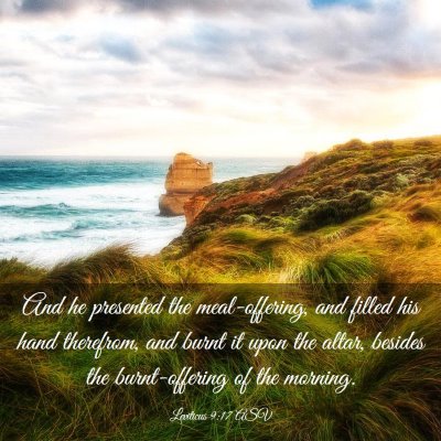 Picture 03 - Leviticus 9:17 ASV - And he presented the meal-offering, and filled - Bible Verse Picture