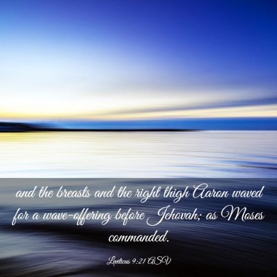 Picture 03 - Leviticus 9:21 ASV - and the breasts and the right thigh Aaron waved - Bible Verse Picture