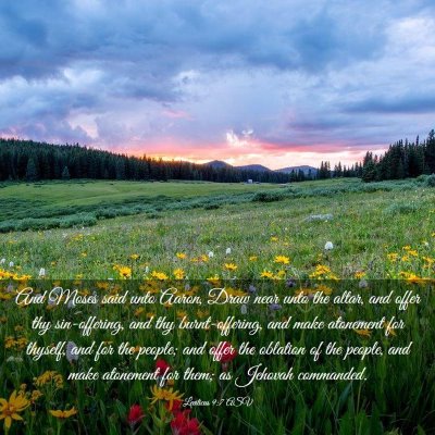 Picture 03 - Leviticus 9:7 ASV - And Moses said unto Aaron, Draw near unto the - Bible Verse Picture
