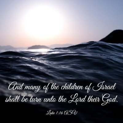 Picture 03 - Luke 1:16 ASV - And many of the children of Israel shall be turn - Bible Verse Picture